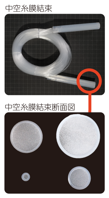中空糸膜結束・中空糸膜結束断面図